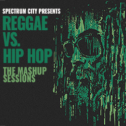 Reggae Vs. Hip Hop